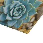 Planche À Découper Succulent (Coin)