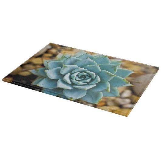 Planche À Découper Succulent (Coin)
