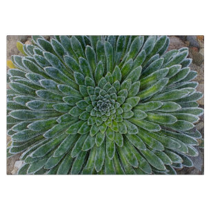 Planche À Découper Succulent plante du désert