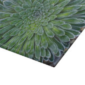 Planche À Découper Succulent plante du désert (Coin)