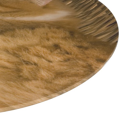 Planche À Découper Table orange dormant dans le hamper (Coin)