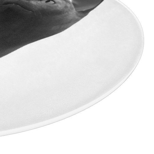 Planche À Découper Tableau de découpe de chats noirs (Coin)