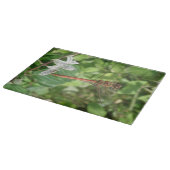 Planche À Découper Tableau de découpe de libellules de fléchettes com (Coin)