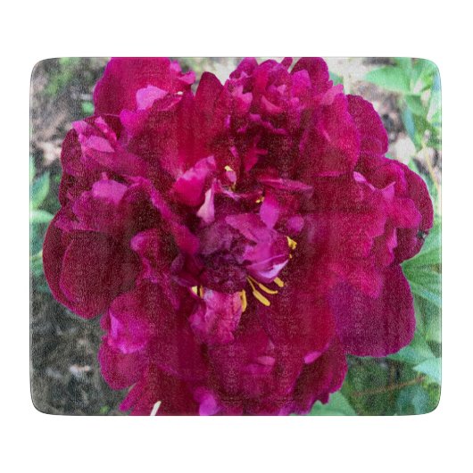 Planche À Découper Tableau de découpe de pivoine (Devant)