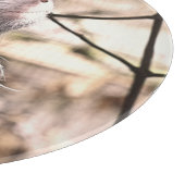 PLANCHE À DÉCOUPER TAMARIN MONKEY (Coin)