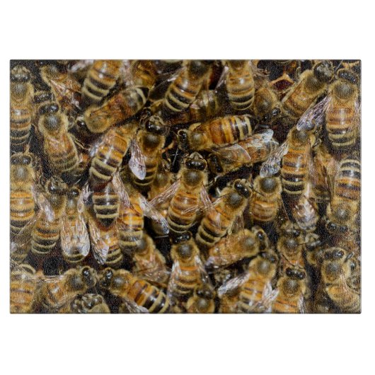 Planche À Découper Tapis d'abeilles (Devant)