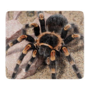 Planche À Découper Tarantula Spider du genou rouge mexicain