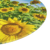 Planche À Découper Terrain de tournesol, ensoleillé l'été. (Coin)