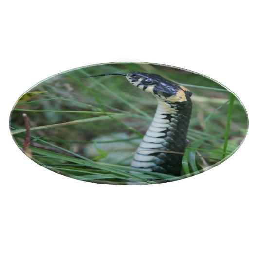 Planche À Découper Tête de serpent (Coin)