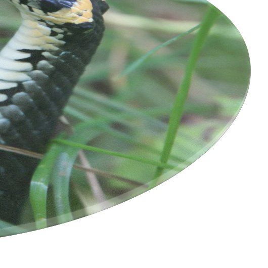 Planche À Découper Tête de serpent (Coin)