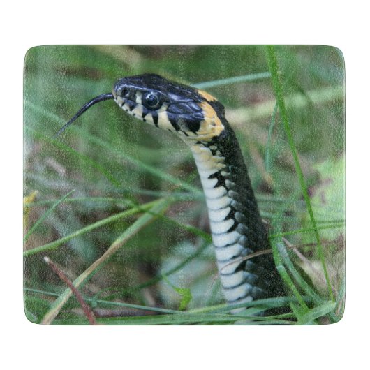 Planche À Découper Tête de serpent (Devant)