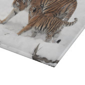 Planche À Découper Tiger and Cub in the Snow (Coin)