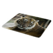 Planche À Découper Tigre du Bengale (Coin)