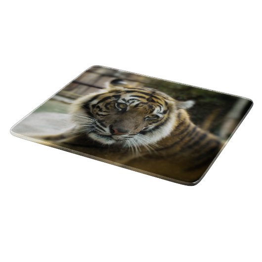 Planche À Découper Tigre du Bengale (Coin)