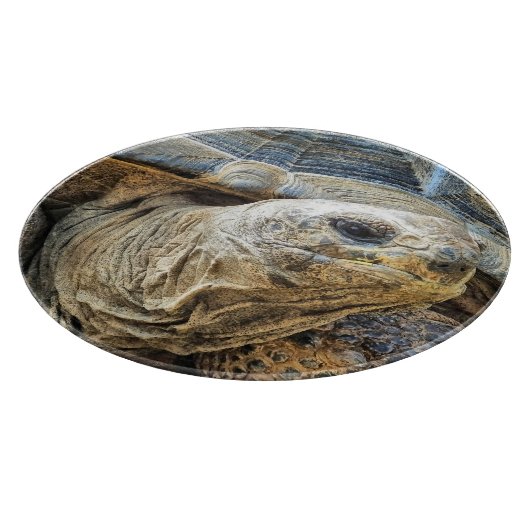 PLANCHE À DÉCOUPER TORTOISE (Coin)