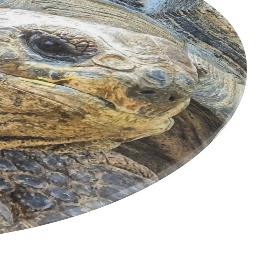 PLANCHE À DÉCOUPER TORTOISE (Coin)