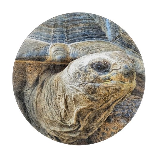 PLANCHE À DÉCOUPER TORTOISE (Devant)