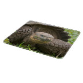 Planche À Découper Tortue géante (Coin)