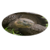 Planche À Découper Tortue géante (Coin)