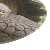 Planche À Découper Tortue géante (Coin)