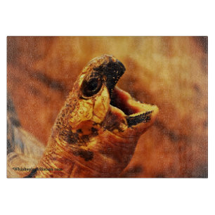 Planche À Découper Tortue rayonnée de baîllement