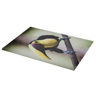 Planche À Découper Toucan du Costa Rica