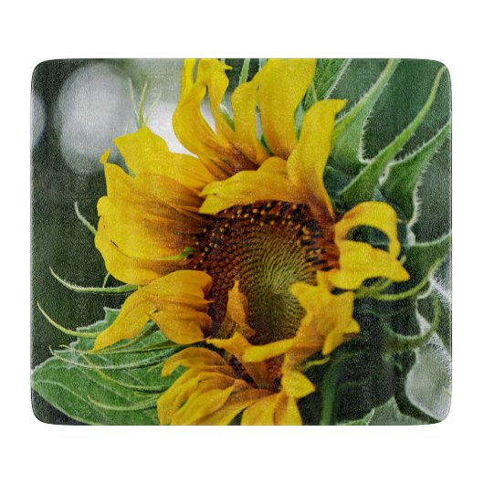 Planche À Découper Tournesol (Devant)