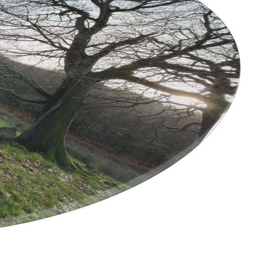 Planche À Découper Tree view.. (Coin)