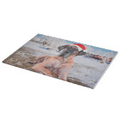 Planche À Découper Très Beau Chien Danse Assis Dans Le Casquette De N (Coin)