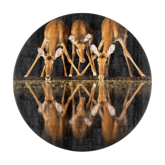 Planche À Découper Trois impalas boivent ensemble la nuit (Devant)
