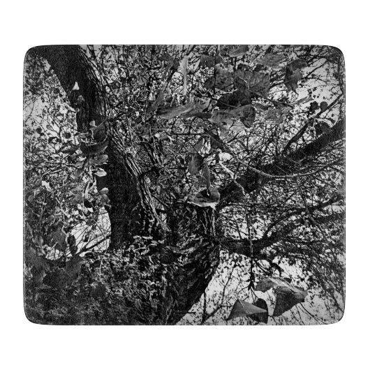 Planche À Découper Trouvez-moi dans les arbres (Devant)