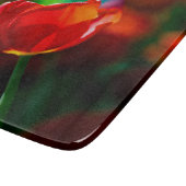 Planche À Découper Tulipe rouge - Mystère de floraison (Coin)