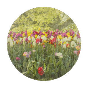 Planche À Découper Tulipes colorées dans un parc