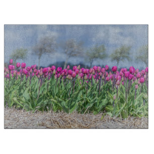 Planche À Découper Tulipes dans un champ en Hollande