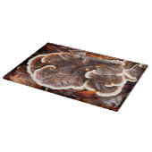 Planche À Découper Turquie Tails Fungi Planche de verre (Coin)