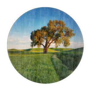 Planche À Découper Un arbre isolé entouré de collines ondoyantes de b