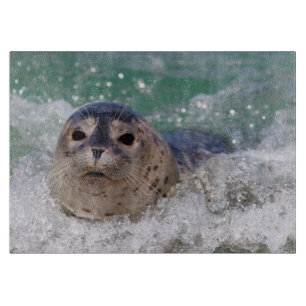 Planche À Découper Un bébé phoque surfant