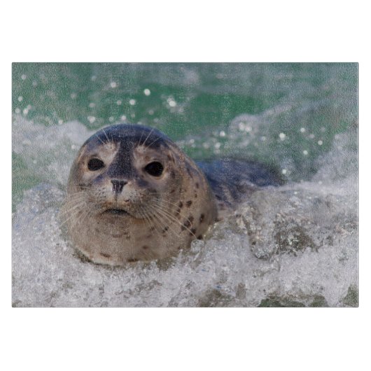 Planche À Découper Un bébé phoque surfant (Devant)