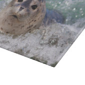Planche À Découper Un bébé phoque surfant (Coin)