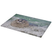 Planche À Découper Un bébé phoque surfant (Coin)