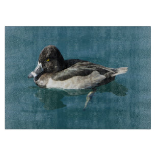 Planche À Découper Un canard à col rond mâle est assis sur l'eau bleu