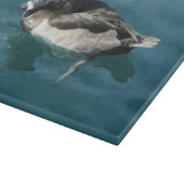 Planche À Découper Un canard à col rond mâle est assis sur l'eau bleu (Coin)