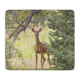 Planche À Découper Un cerf solitaire