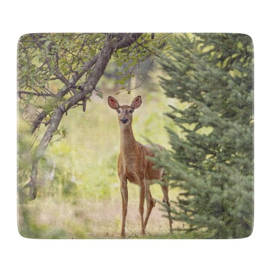 Planche À Découper Un cerf solitaire (Devant)