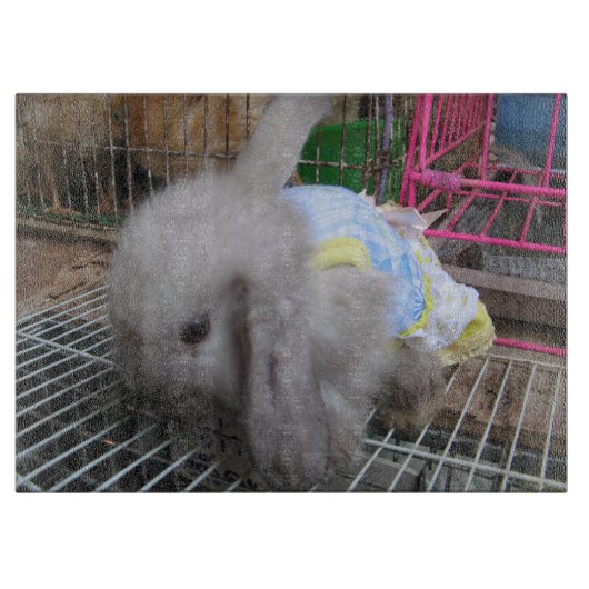 Planche À Découper Un lapin en robe (Devant)