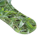 Planche À Découper Un Monarque Butterfly Cutboard (Coin)