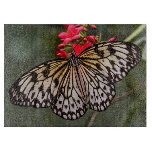 Planche À Découper Un simple cerf-volant en papier (Devant)