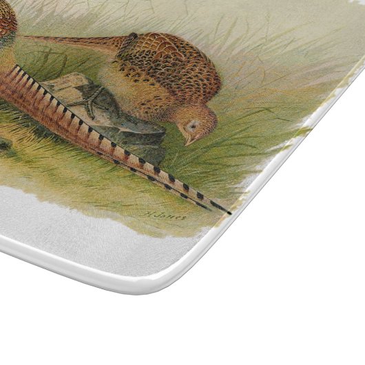 Planche À Découper Une paire de faisans étranglés d'anneau dans un (Coin)