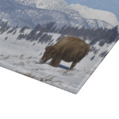 Planche À Découper USA, WY, Yellowstone NP, American Bison Bison (Coin)