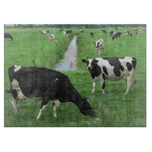 Planche À Découper Vaches (Devant)